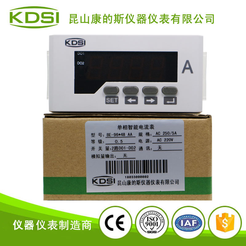 BE96-48 AA250-5A 220V