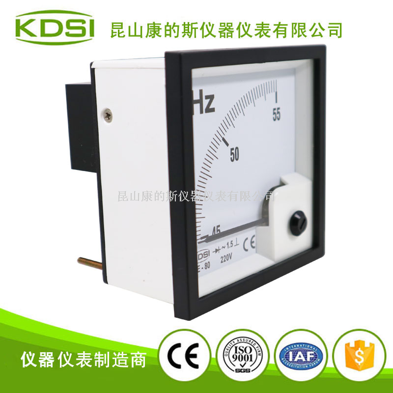 指针式频率表BE-80 45-55HZ 220V-1