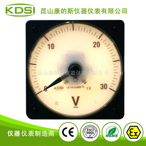 圆形开孔指针式电压表LS-110 DC30V 黄光背光电压24V