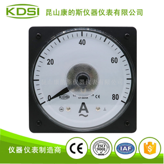 指针式广角度交流电流表 LS-110 AC80/5A