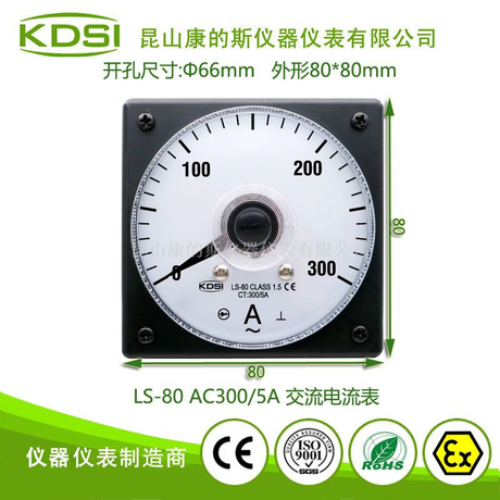 指針式電流測(cè)量?jī)x表LS-80 AC300/5A